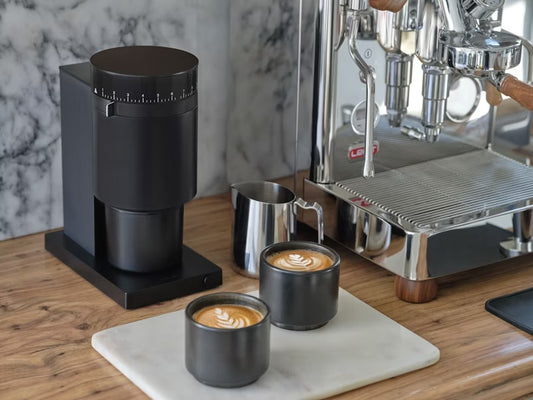 Fellow Opus Conical Burr Grinder